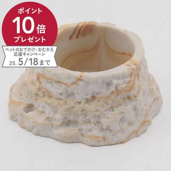 レプティボウル2mini