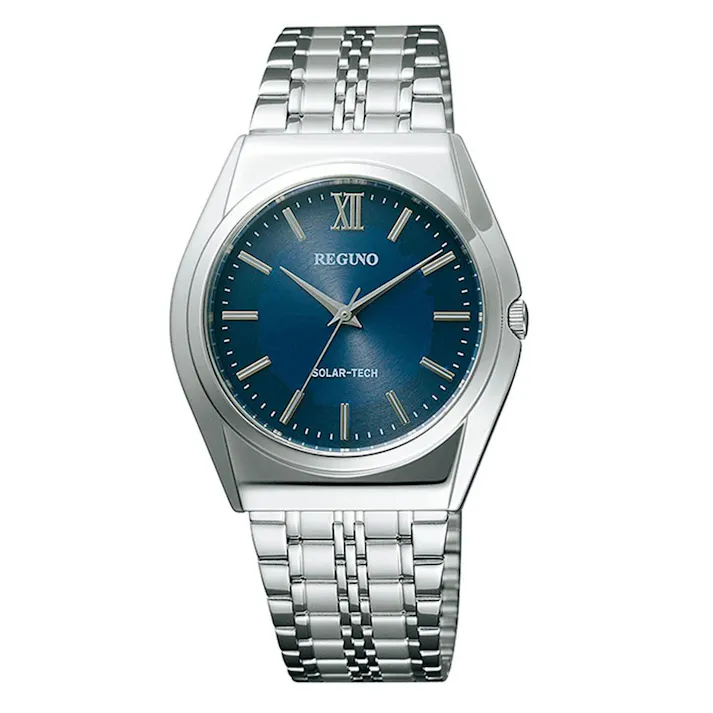 レグノ ソーラー RS25-0041