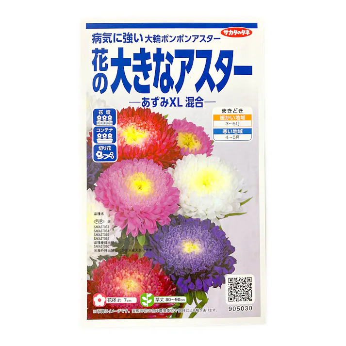 花の大きなアスター あずみXL 混合