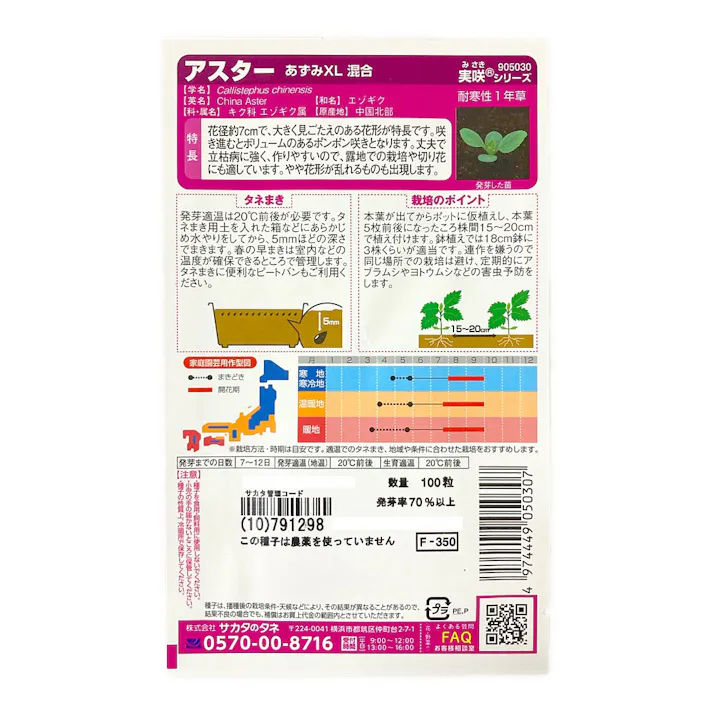 花の大きなアスター あずみXL 混合