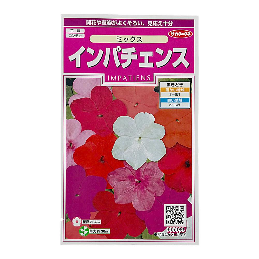 インパチェンス ミックス