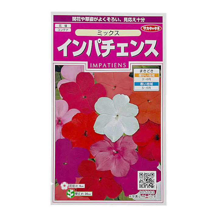 インパチェンス ミックス