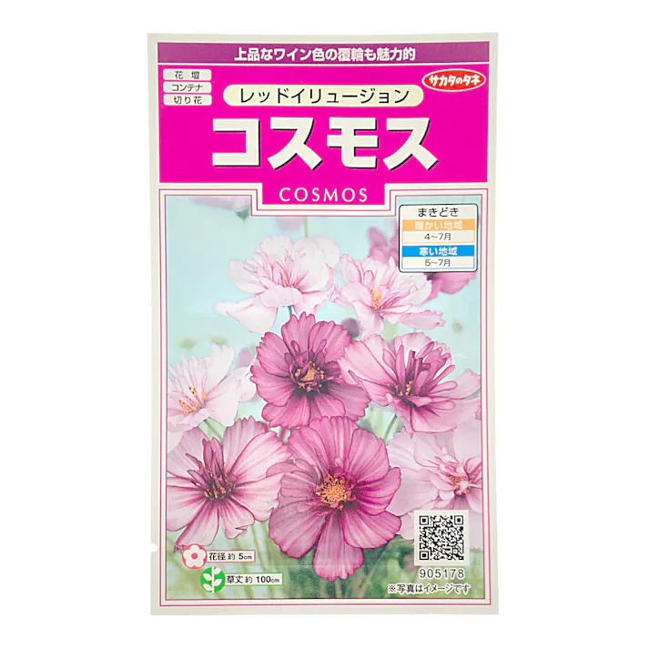 コスモス レッドイリュージョン