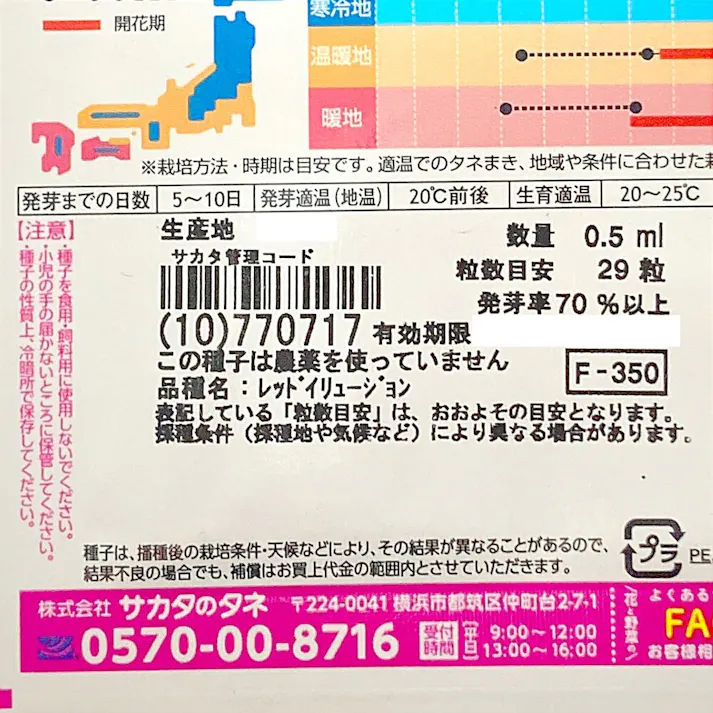 コスモス レッドイリュージョン