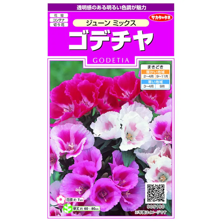 ゴデチヤジューンミックス