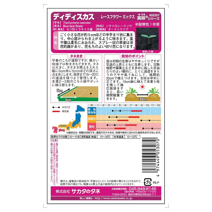 ディディスカスレースフラワーミックスSA