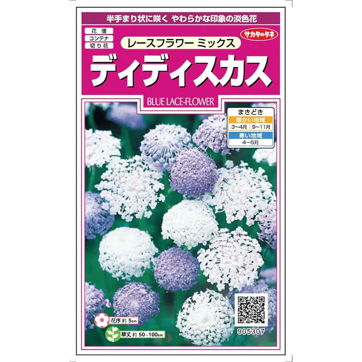 ディディスカスレースフラワーミックスSA
