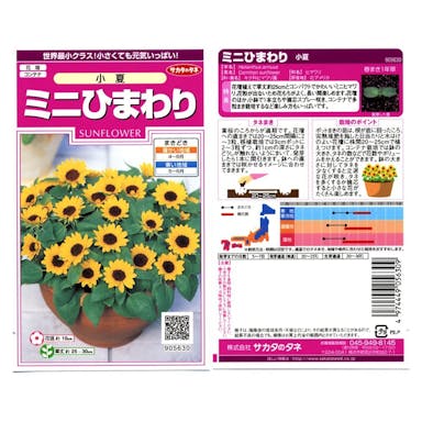 サカタのタネ 花の種 ミニひまわり 小夏(販売終了)
