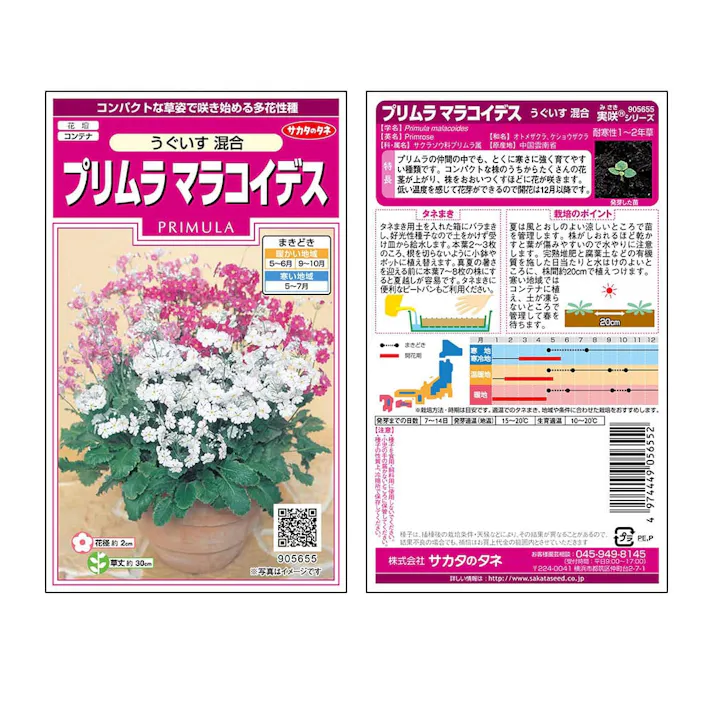 プリムラマラコイデス うぐいす混合