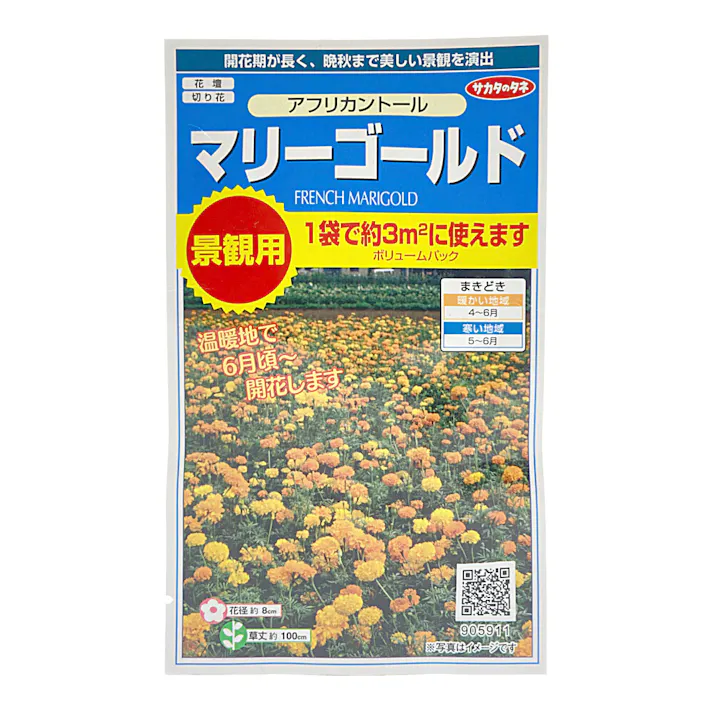 景観用大袋マリーゴールド アフリカントール