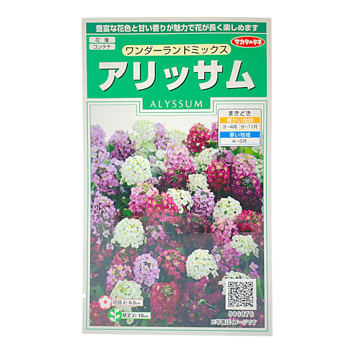 アリッサム ワンダーランド ミックス