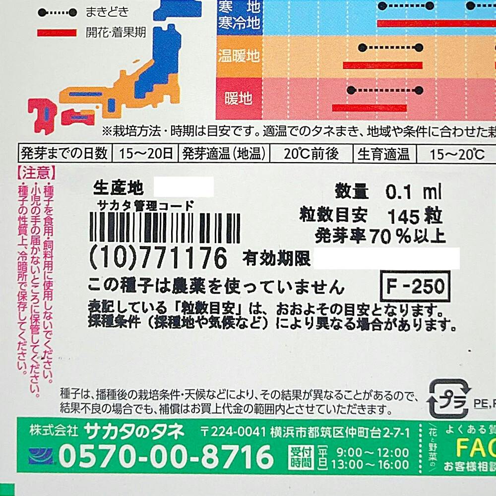 四季なりイチゴ ワイルドストロベリー | 花＆グリーン 通販