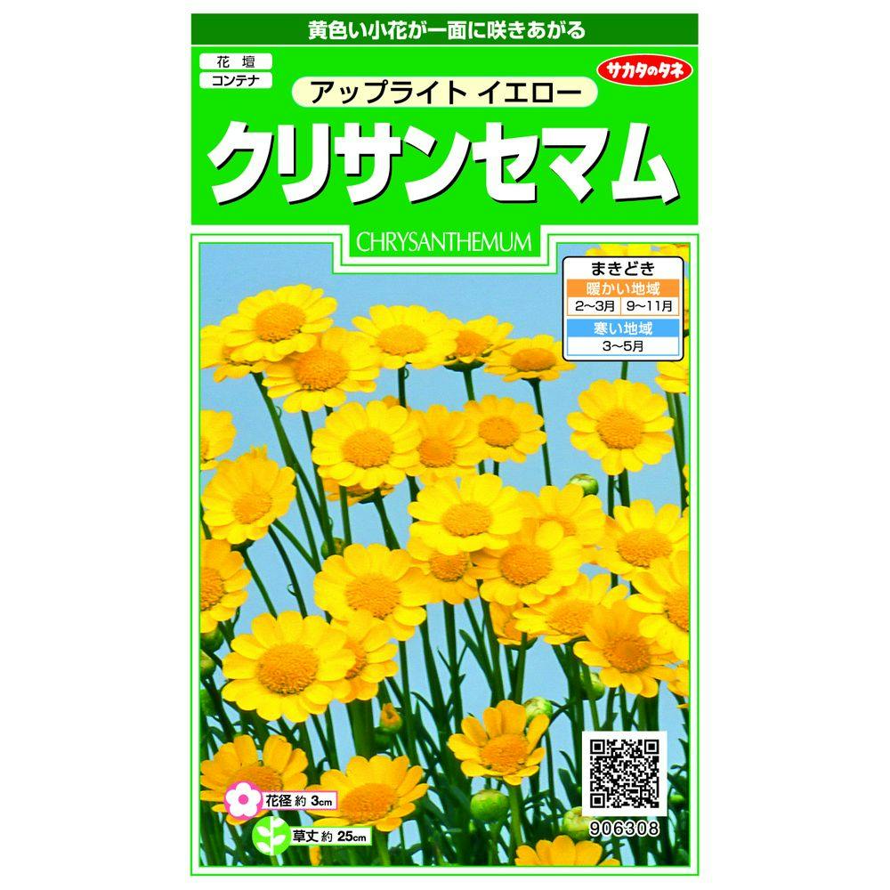 ノースポール | 花＆グリーン 通販 | ホームセンターのカインズ