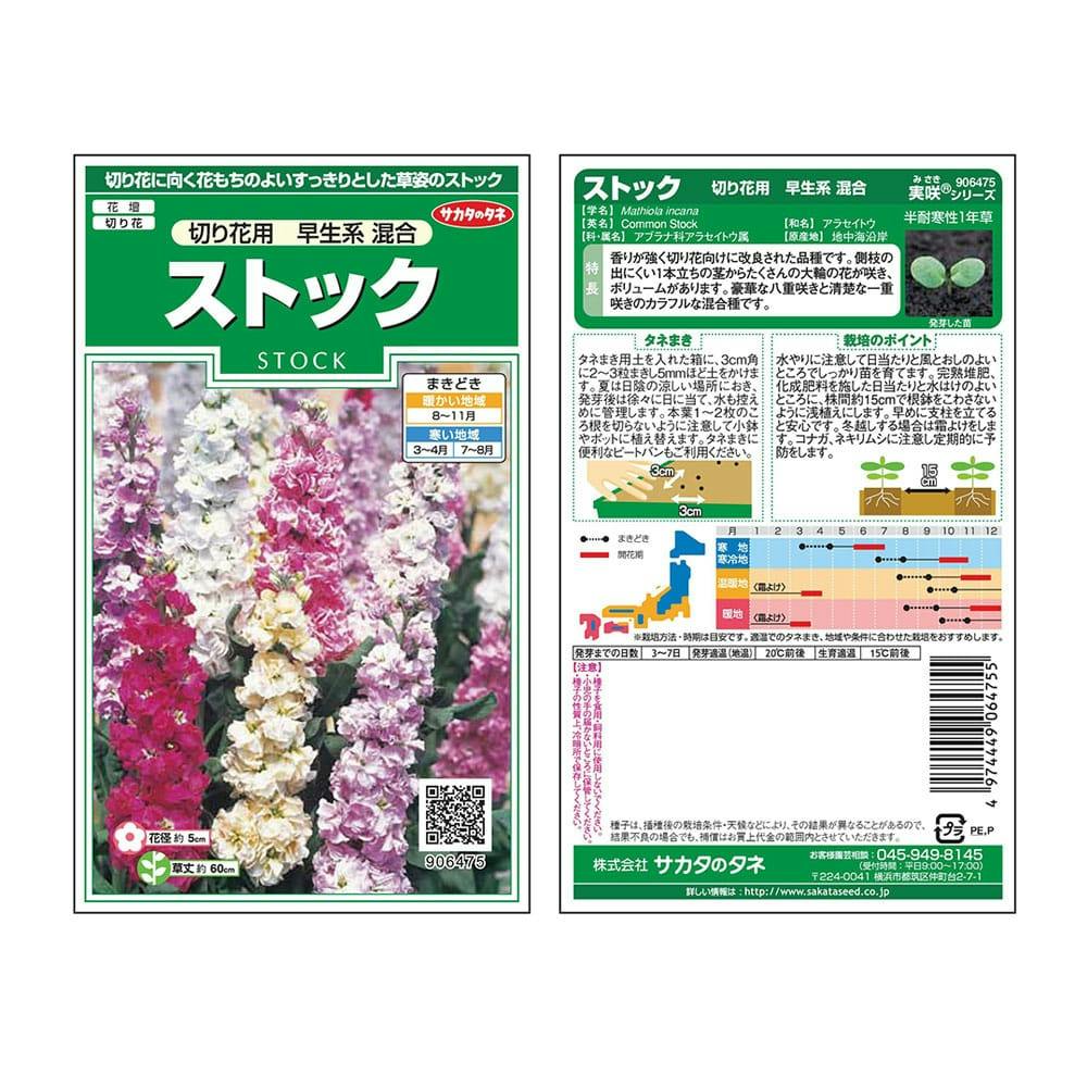 サカタのタネ ストック切り花用早生系混合 ホームセンター通販 カインズ