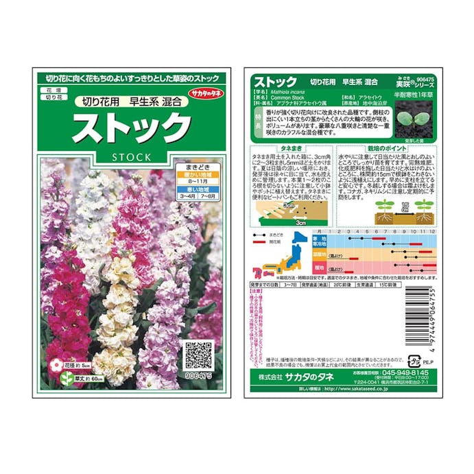 サカタのタネ ストック切り花用早生系混合