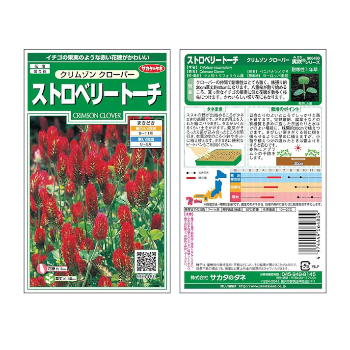 ストロベリートーチ クリムゾンクローバー