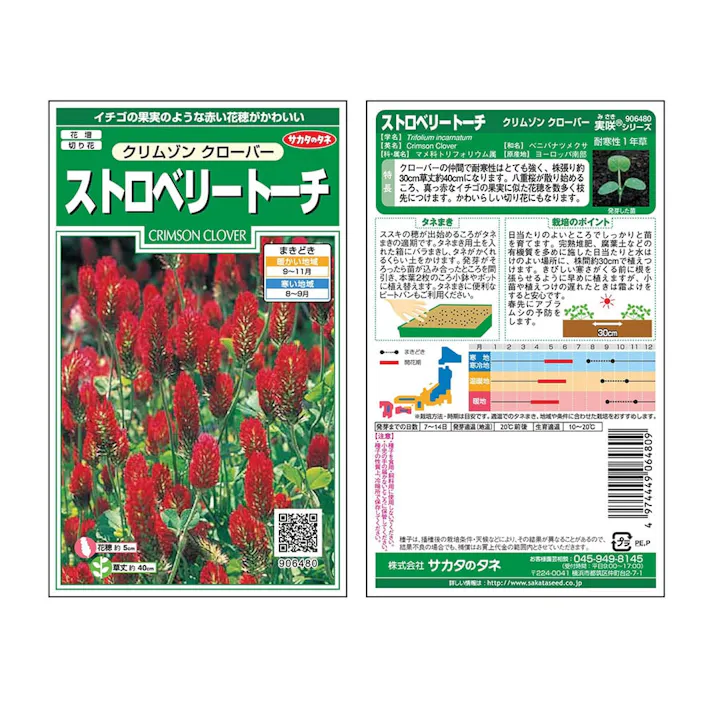 ストロベリートーチ クリムゾンクローバー