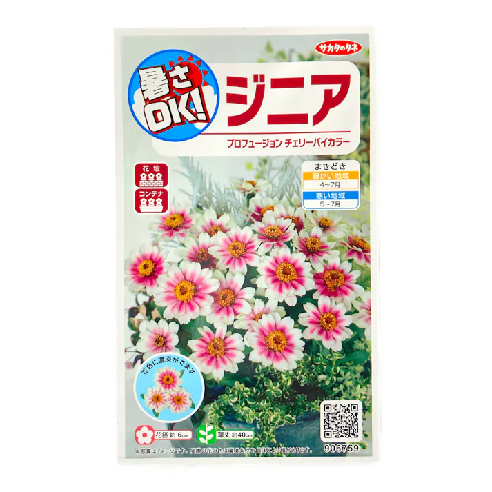 暑さOKジニアプロフュージョンチェリーバイカラ