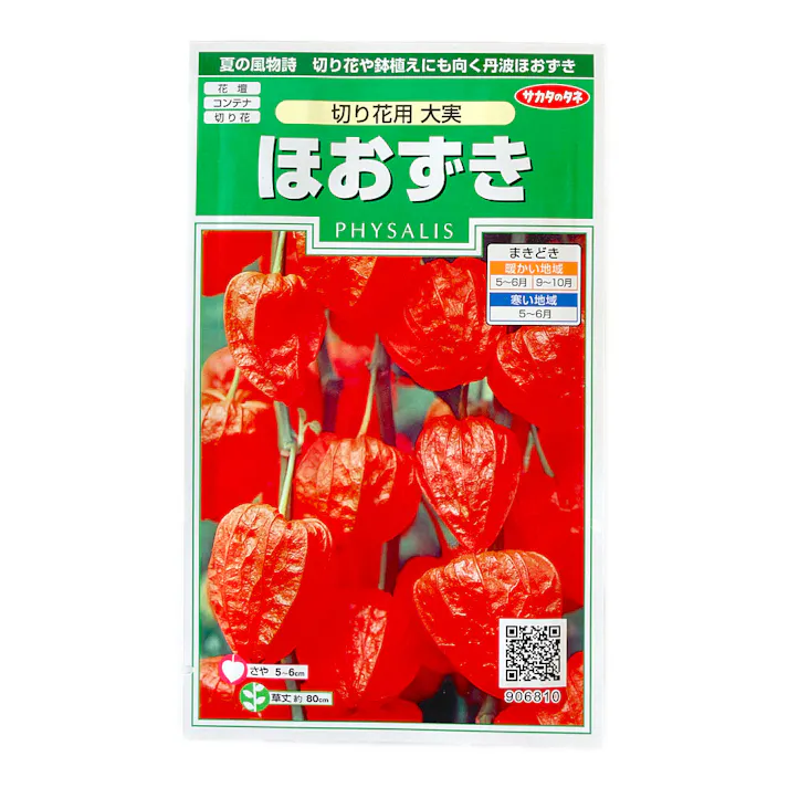 切り花用大実 ほおずき