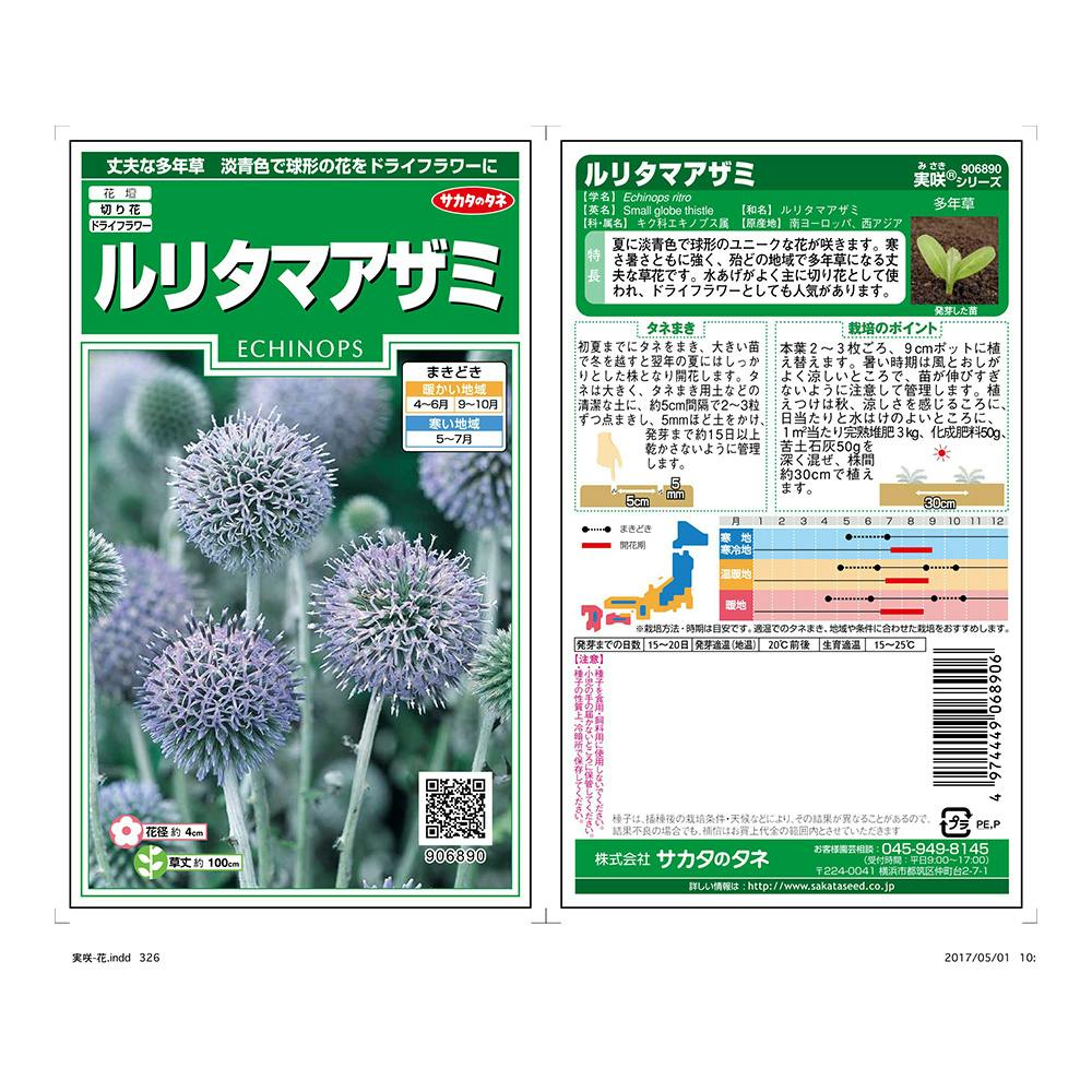 爽やかな夏の2ウェイガーランド　アナベル　ルリタマアザミ ルリタマアザミとアナベルのスワッグ ドライフラワー amijus 通販