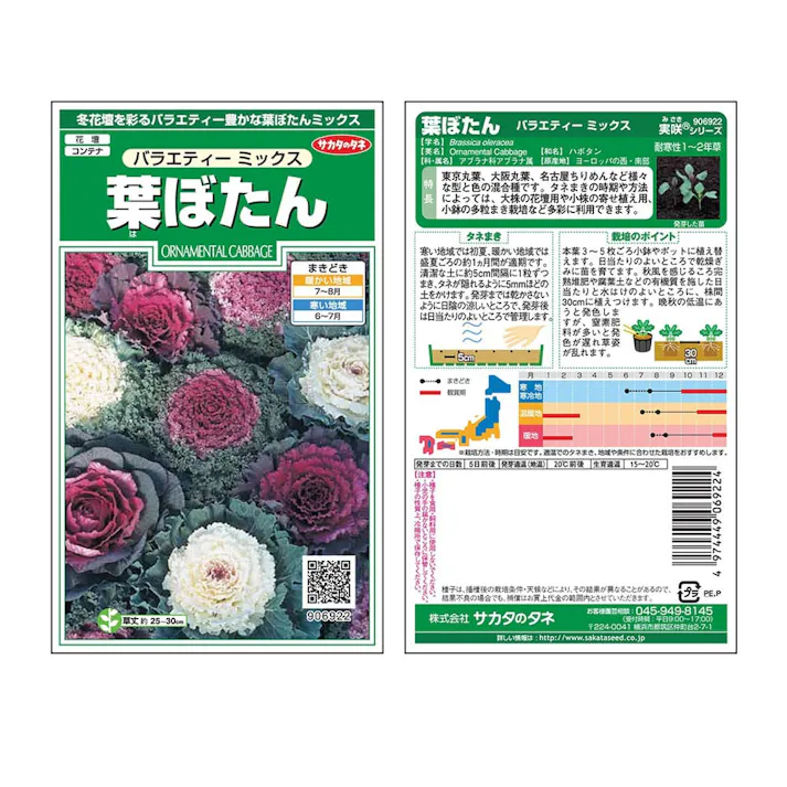 葉ぼたんバラエティーミックス