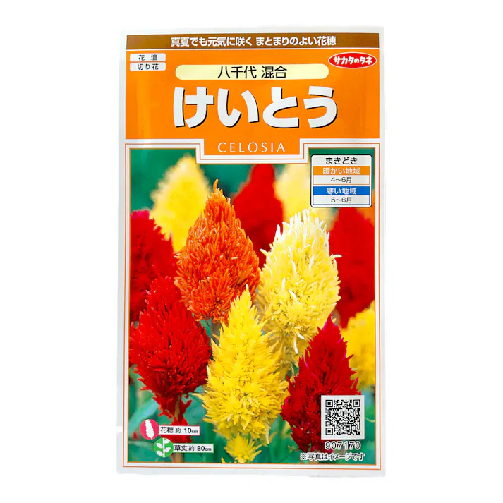 八千代混合 けいとう