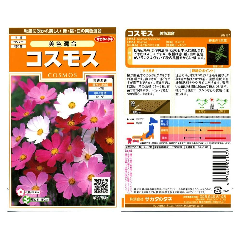 花の種 コスモス 美色混合(販売終了) | 花＆グリーン 通販