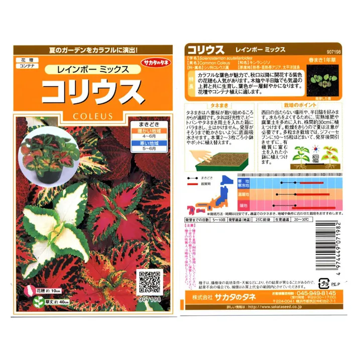 コリウスレインボーミックスSA