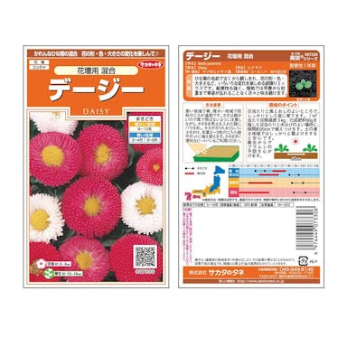 サカタのタネ デージー花壇用混合