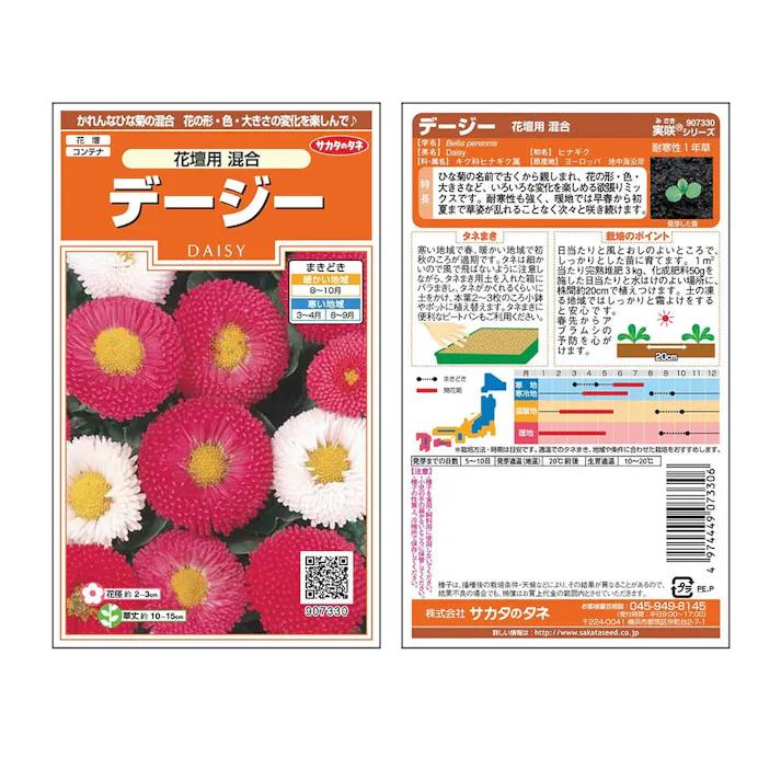 デージー花壇用混合