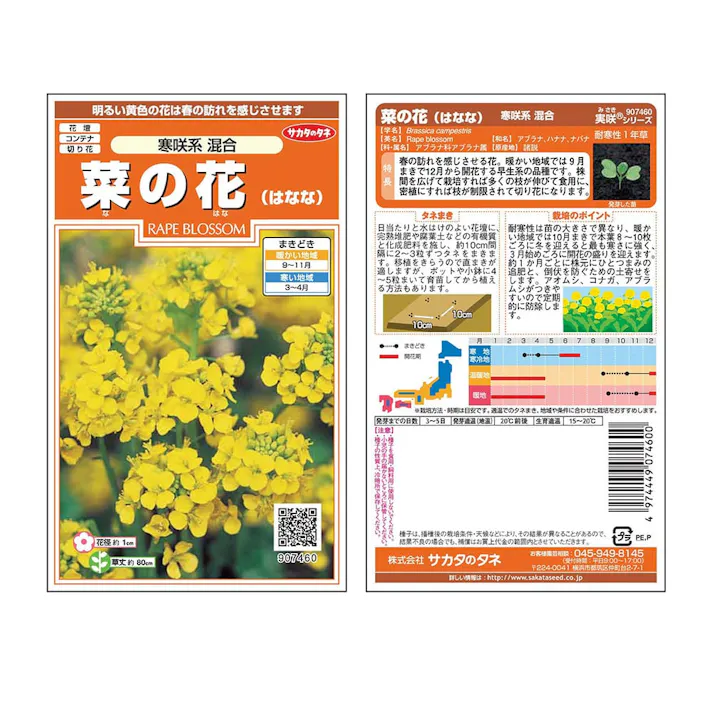 菜の花寒咲系混合