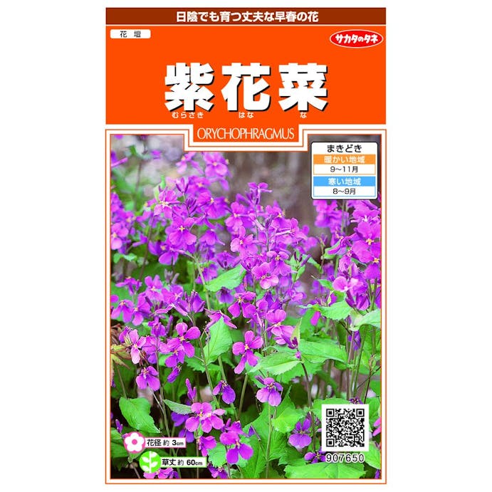サカタのタネ 紫花菜 SA