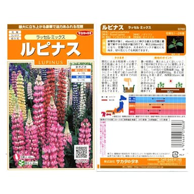 花の種 ルピナス ラッセルミックス(販売終了)