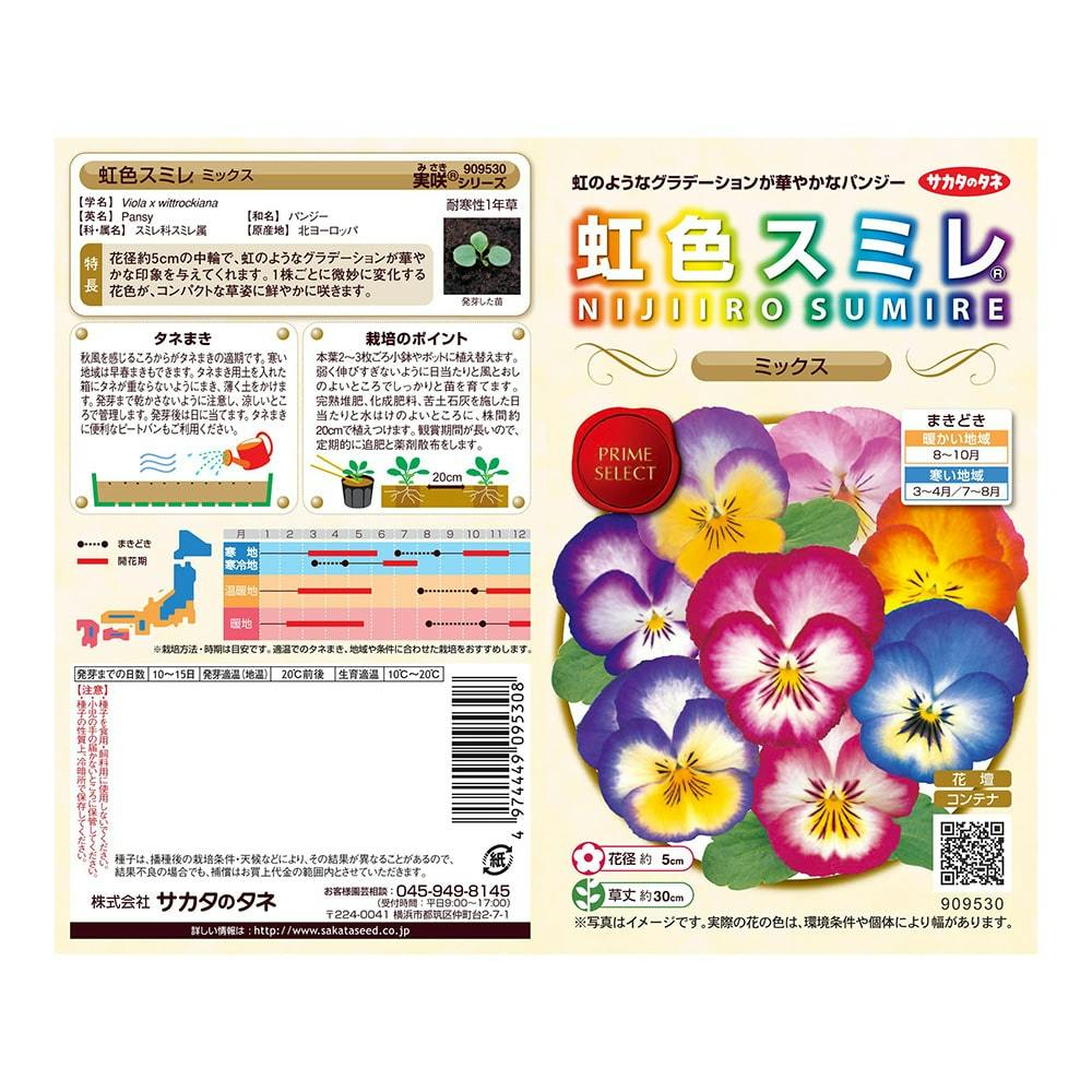 サカタのタネ 実咲花 9530パンジー虹色スミレミックス | 花＆グリーン