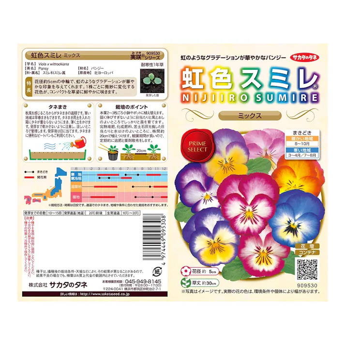 実咲花 9530パンジー虹色スミレミックス