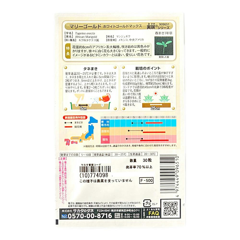 マリーゴールド ホワイトゴールド マックス | 花＆グリーン 通販
