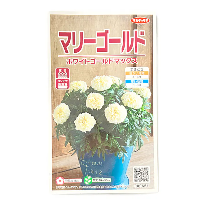 マリーゴールド ホワイトゴールド マックス