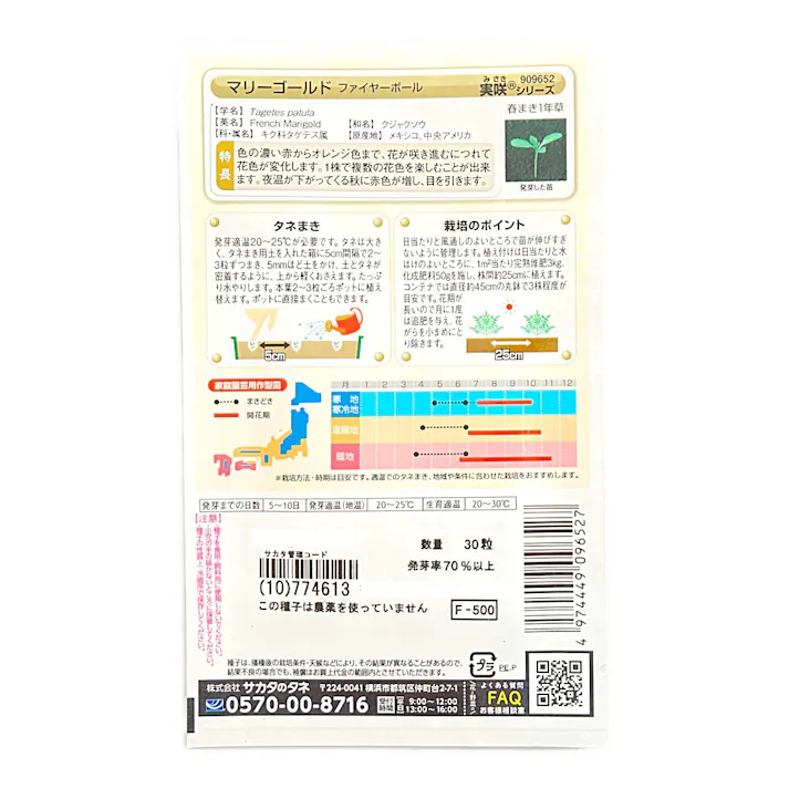 マリーゴールド ファイヤーボール