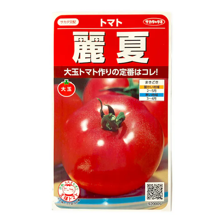 トマト 麗夏