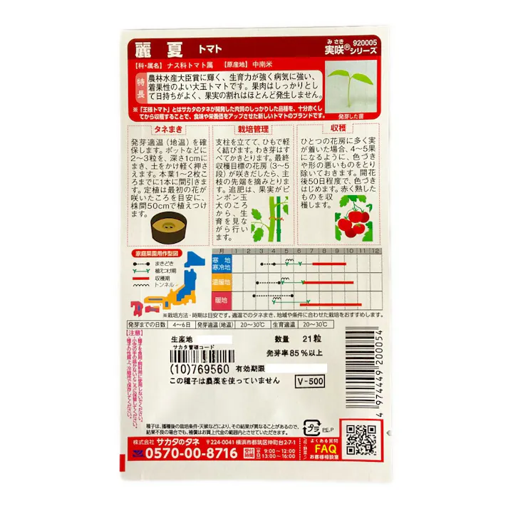 トマト 麗夏