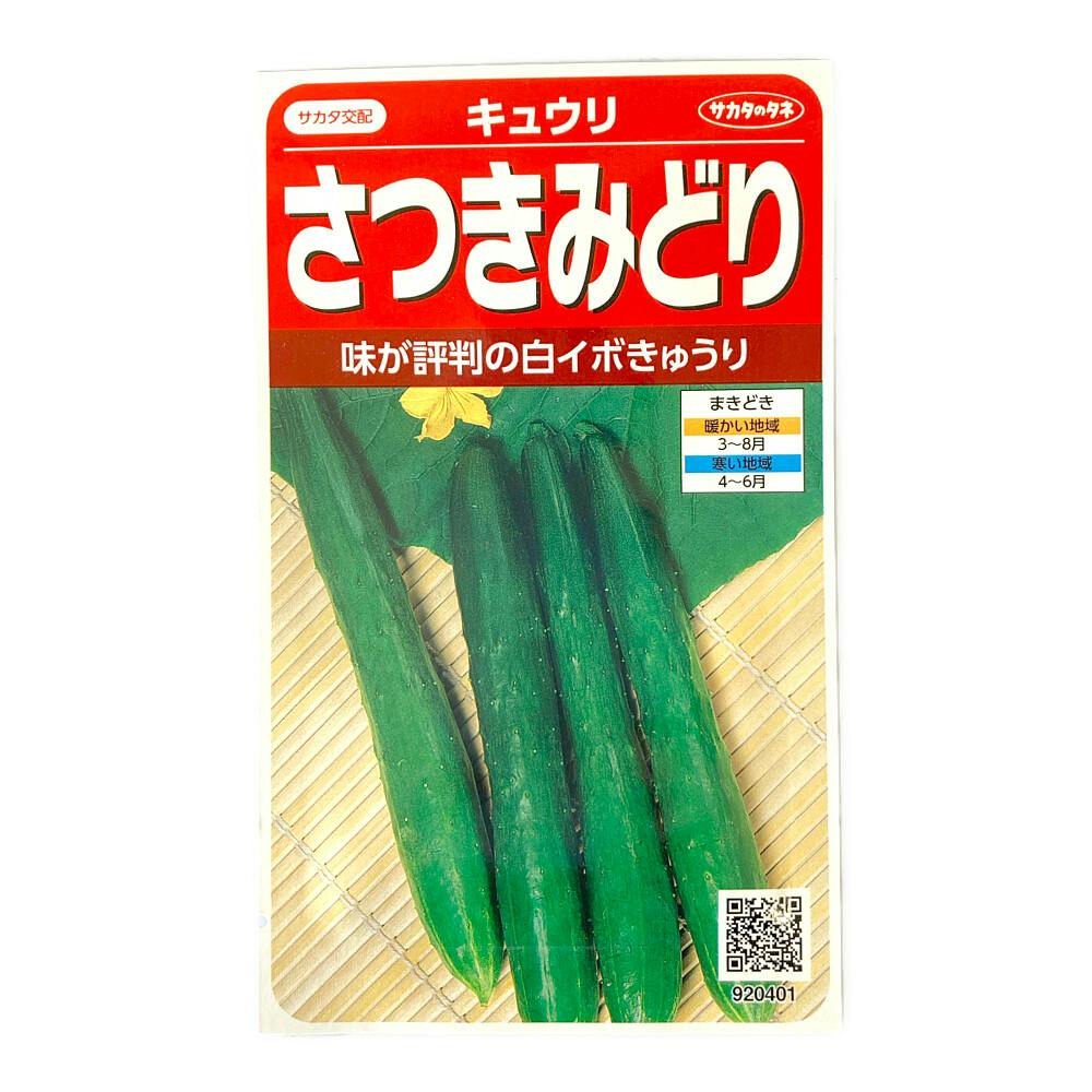 キュウリ さつきみどり | 花＆グリーン 通販 | ホームセンターのカインズ
