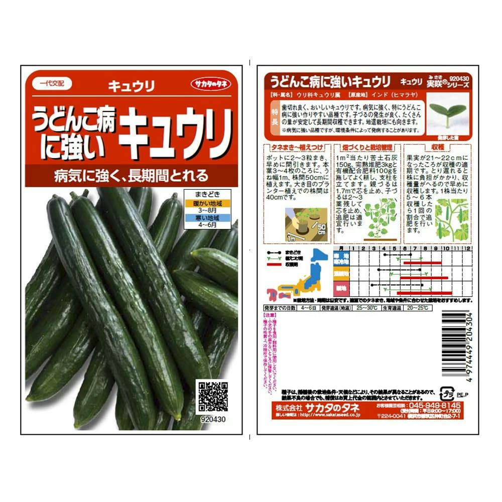 野菜の種 実咲野菜0430 異なっ うどんこ病に強いキュウリ 野菜の種 実咲野菜0430 異なっ うどんこ病に強いキュウリ