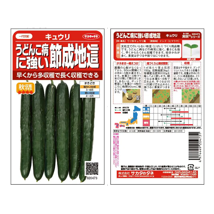 うどんこ病につよい節成地這キュウリ(販売終了)