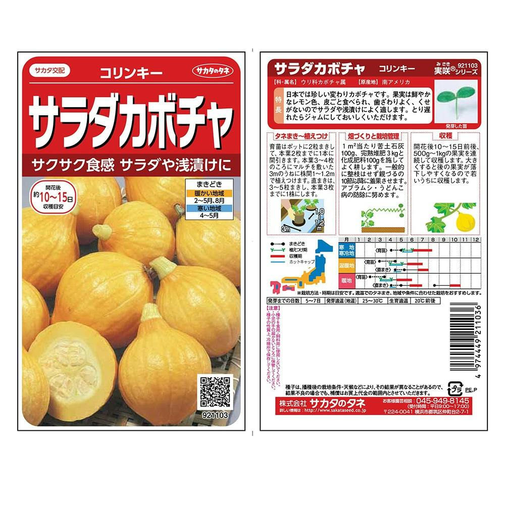 サラダカボチャ コリンキー