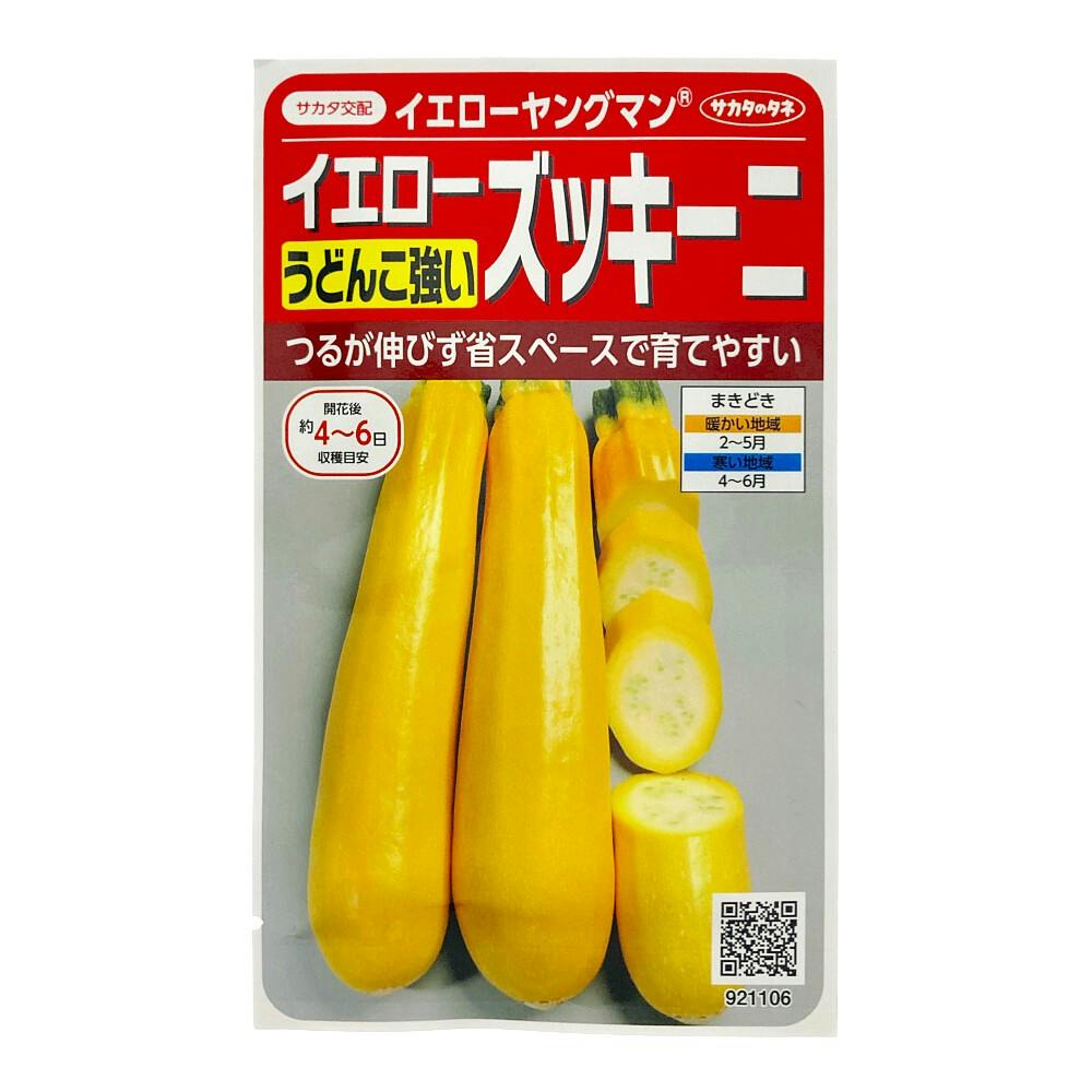 イエローズッキーニ イエローヤングマン | 花＆グリーン 通販