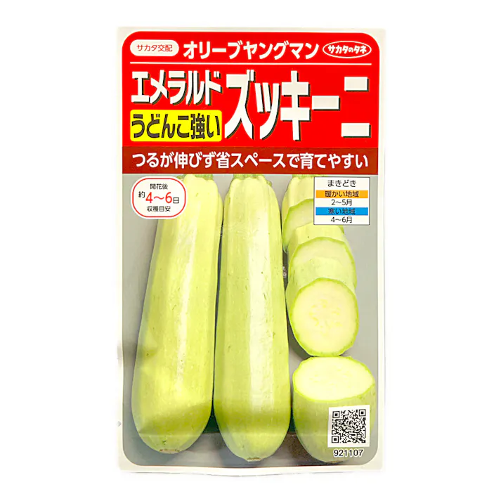 エメラルドズッキーニ オリーブヤングマン