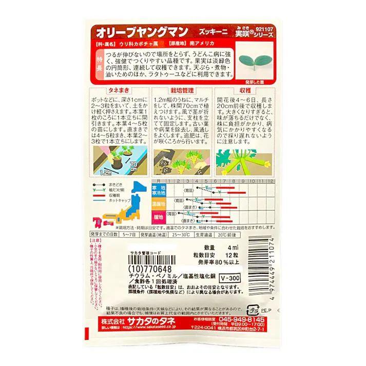 エメラルドズッキーニ オリーブヤングマン