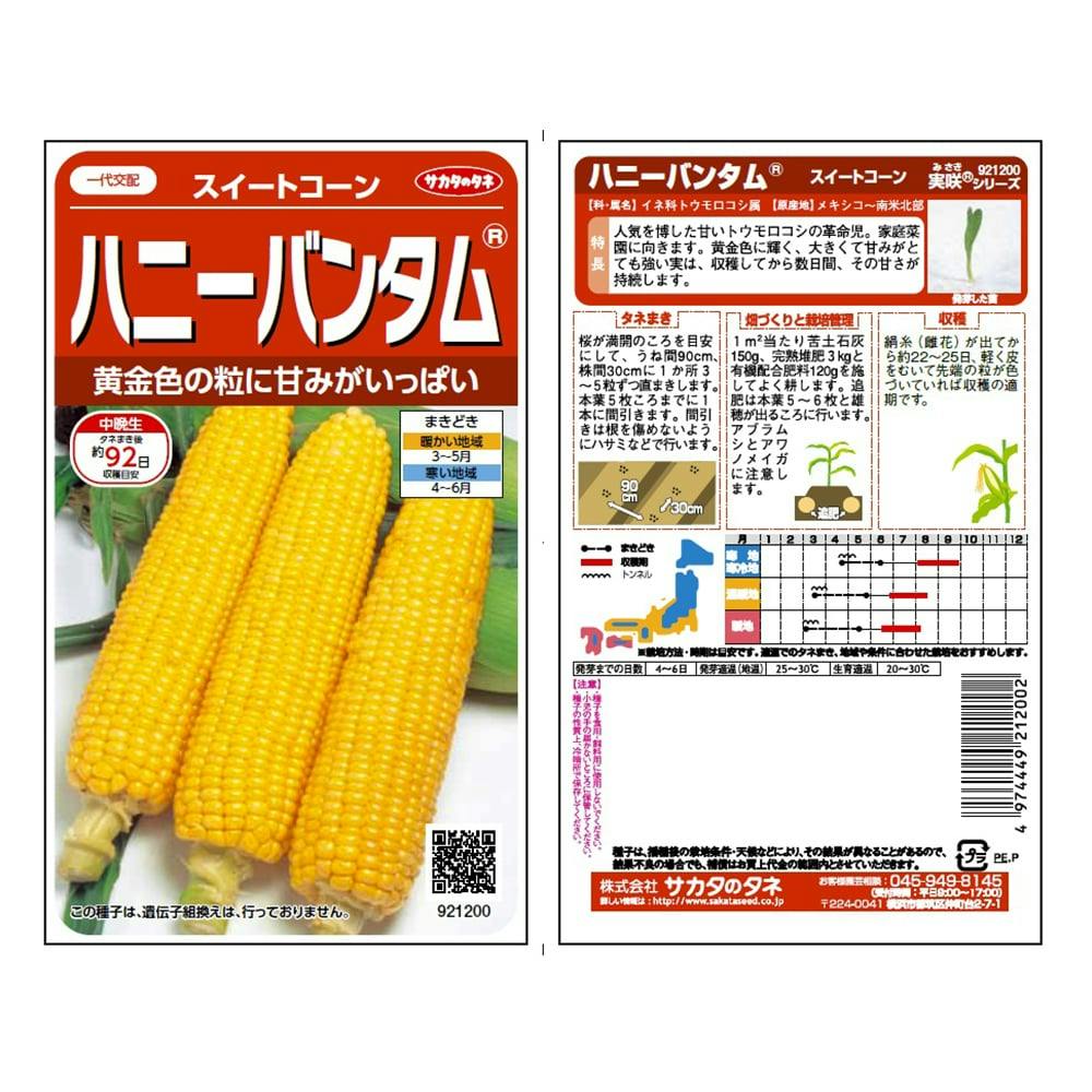 ★とうもろこし@出品★ 楽天市場】富良野産とうもろこしホワイト 2L8本 北海道 お土産