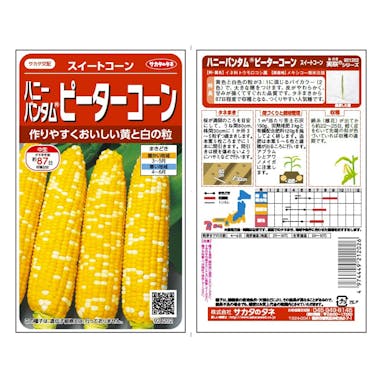 サカタのタネ 野菜の種 スイートコーンピーターコーン