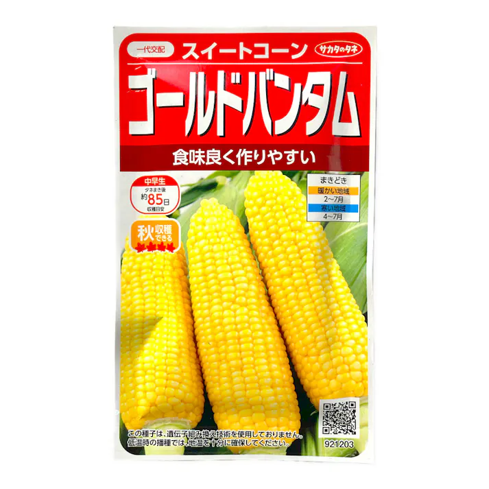 トウモロコシ ゴールドバンタム